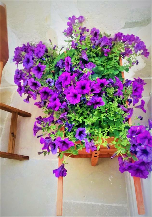 Casa Flami' Apartamento Ostuni